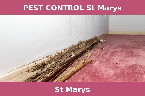 PEST CONTROL St Marys